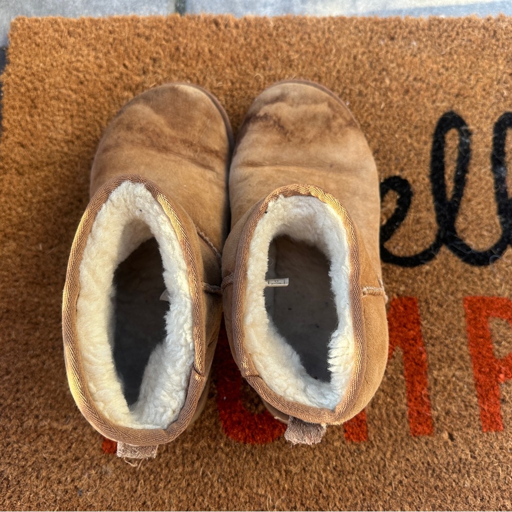 Short chestnut Uggs